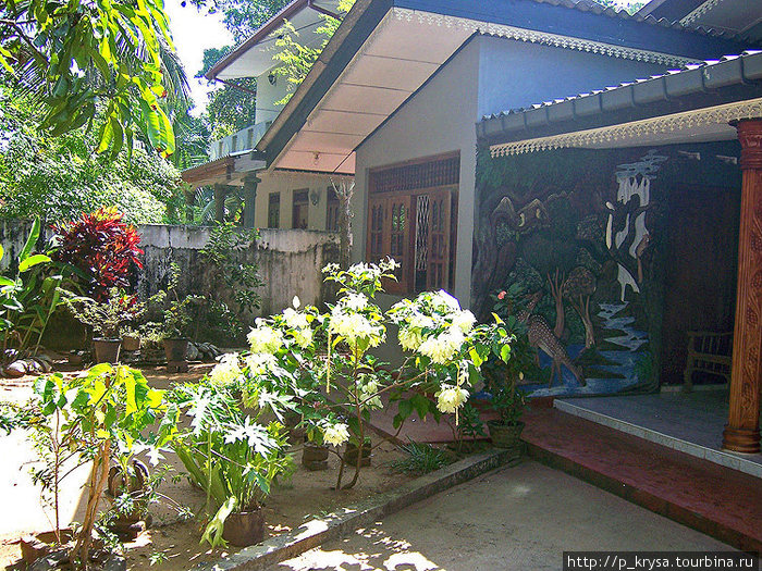 Дом, в котором мы жили Шри-Ланка