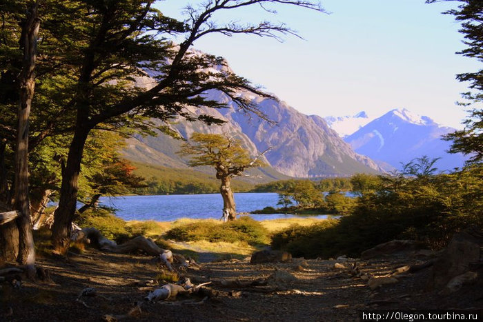 Вода горного озера очень чистая Лос-Гласьярес Национальный парк, Аргентина