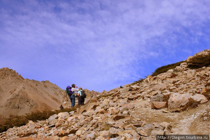 Тропа ведёт наверх, шаг за шагом, выше и выше Лос-Гласьярес Национальный парк, Аргентина