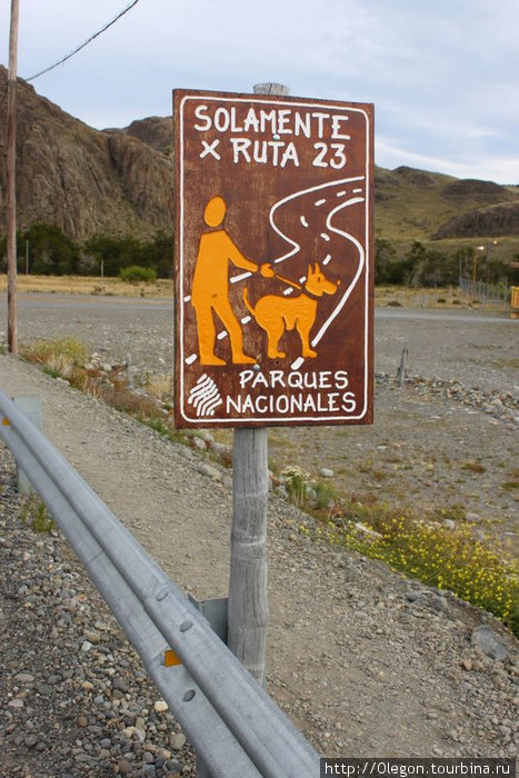 Если лень гулять одному- заведи себе собаку Лос-Гласьярес Национальный парк, Аргентина