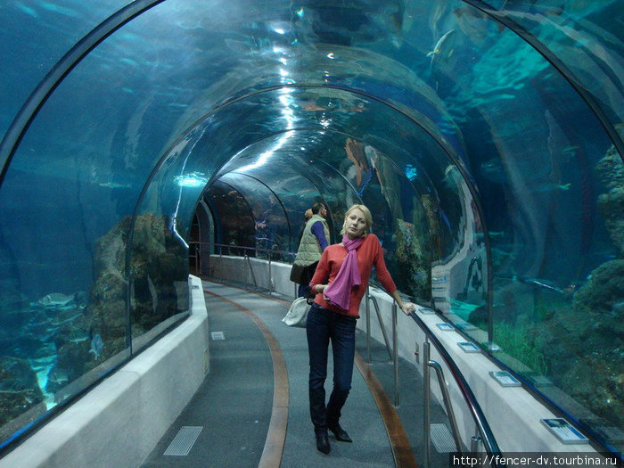 Труба внутри огромного аквариума — самое впечатляющее место во всем комплексе. Барселона, Испания