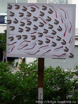 Фестиваль бумажных фонарей Камакура, Япония