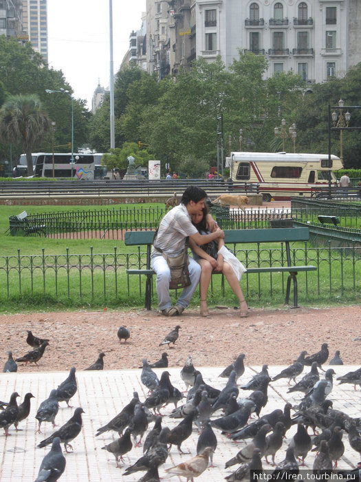 Любовь и голуби Аргентина