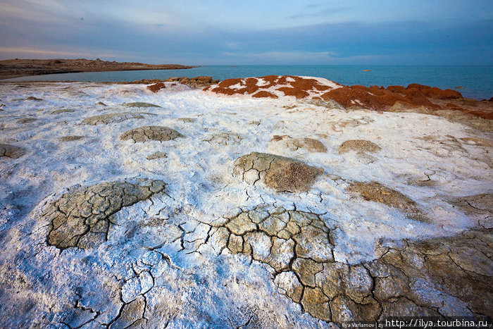 Разноцветный берег Аральского моря по-своему прекрасен... Нукус, Узбекистан