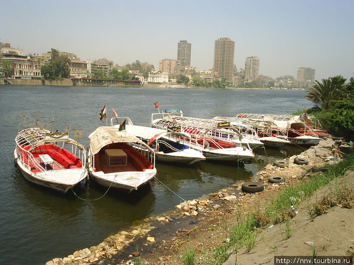 Один в Каире Каир, Египет