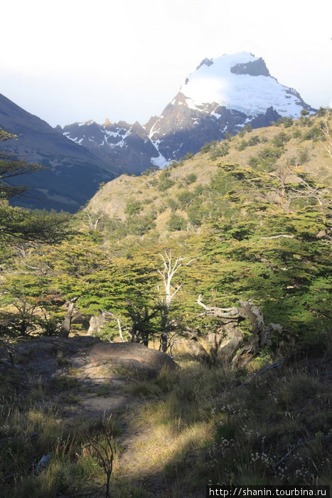Трекинг в горах у Чалтена Лос-Гласьярес Национальный парк, Аргентина