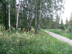 Лето в Шуваловском парке.