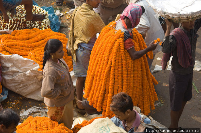 Традиционный цветочный рынок Калькутта, Индия
