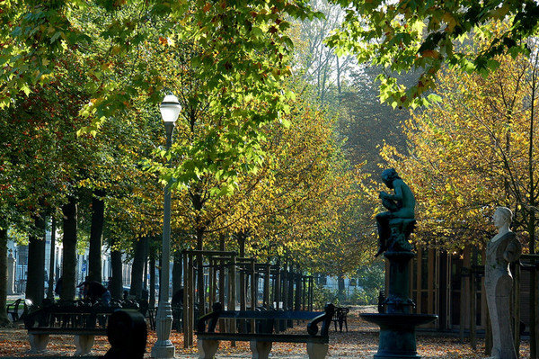 Брюссельский парк / Parc de Bruxelles