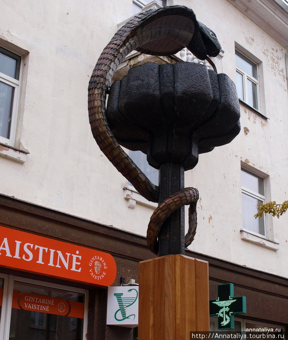 Со змеей — напротив аптеки Шауляй, Литва
