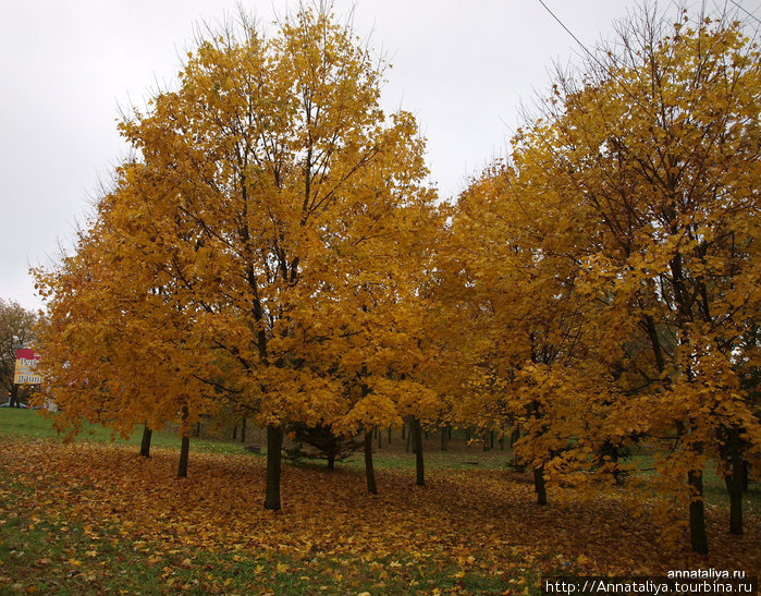 Осень Шауляй, Литва