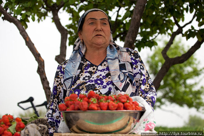 Ближе к Ташкенту начали продавать клубнику. Узбекистан