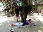 Слон делает мне массаж