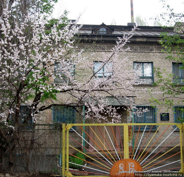 На той же улице — детский сад Журавлик. Луганск, Украина