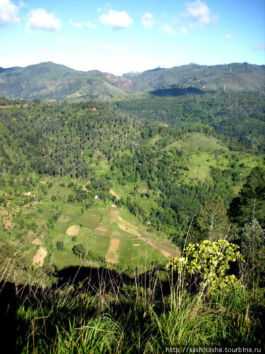 Элла. Часть 2. Чайные плантации. Малый Пик Адама Элла, Шри-Ланка