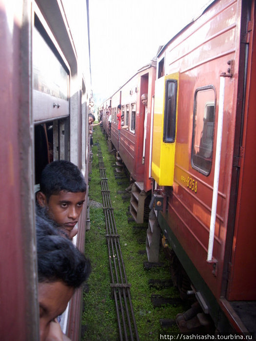 По горным районам Шри-Ланки на поезде Шри-Ланка