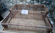 клетки в котрых держали пленных вьетнамцев