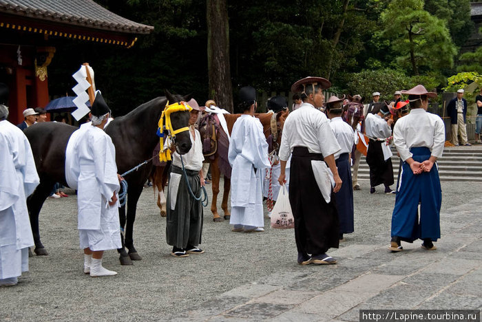 Лошади в ожидании начала второй части праздника Камакура, Япония
