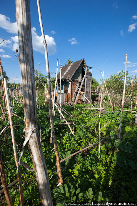 По дороге в Гусь-Хрустальный попадается всё больше заброшенных деревень. Владимирская область, Россия