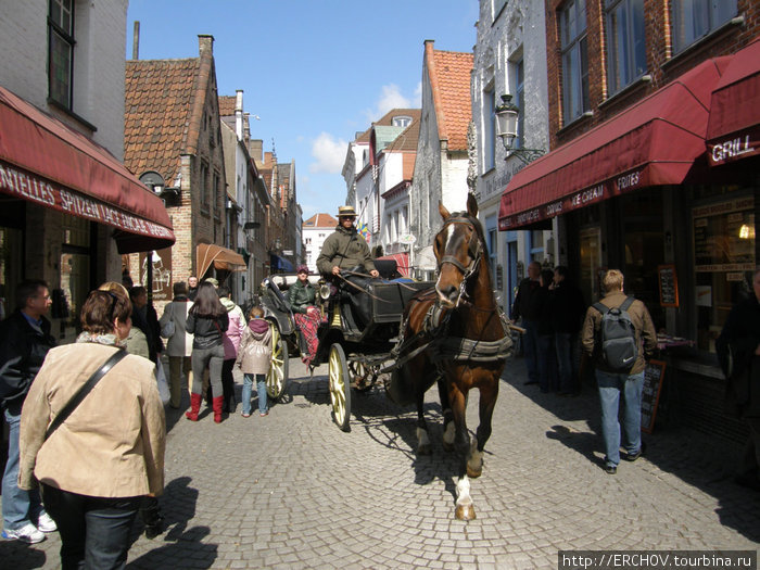 Осторожно лошадь Брюгге, Бельгия