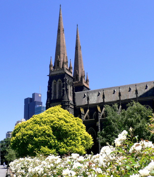 Собор Святого Патрика — крупнейший католический собор в городе. Представляет собой выдающийся пример неоготического стиля. Собор является крупнейшим церковным сооружением построенным в мире в XIX веке Мельбурн, Австралия