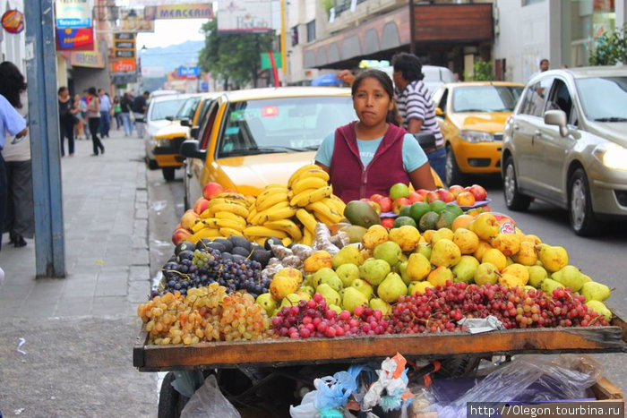 Продавщица витаминов Сан-Сальвадор-де-Хухуй, Аргентина