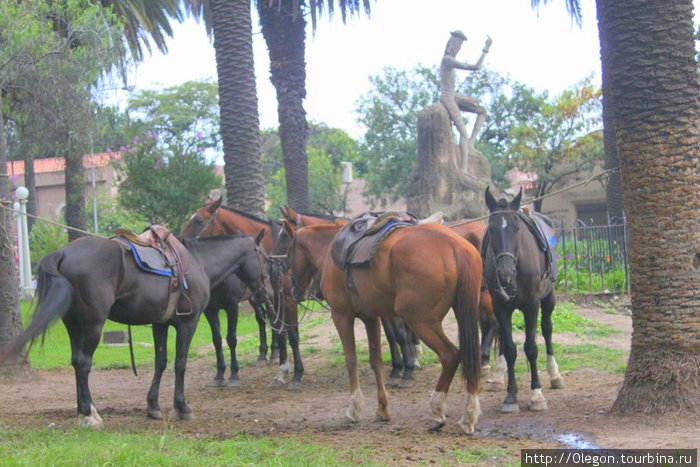 Санчо-Панчо и кони Сан-Сальвадор-де-Хухуй, Аргентина
