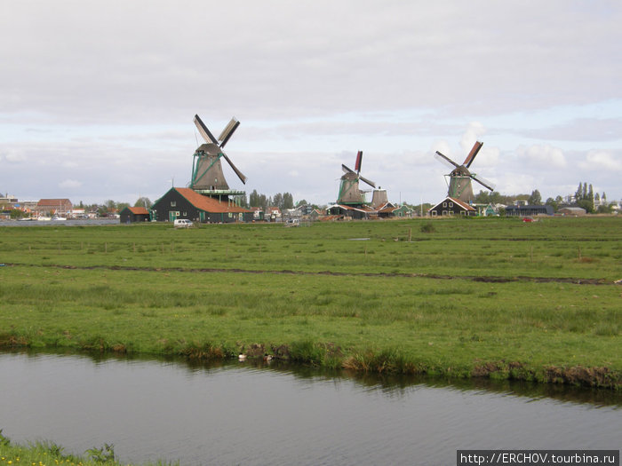 Природа Голландии Нидерланды