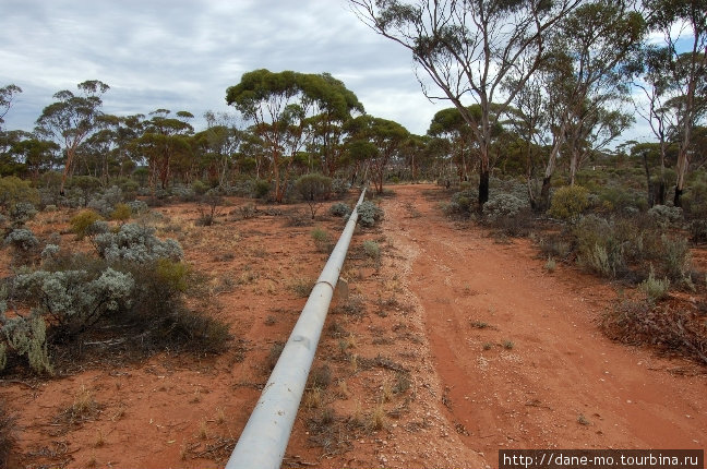 Рядом с дорогой проложен водопровод Штат Западная Австралия, Австралия