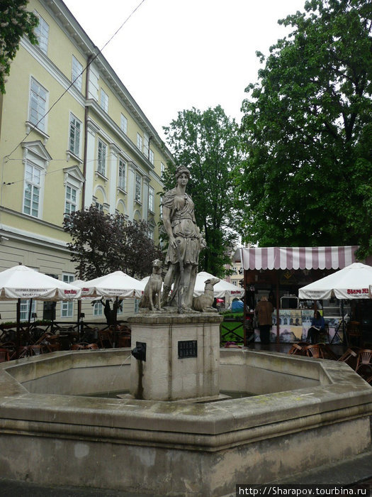 Площадь Рынок, XIV в. Львов, Украина