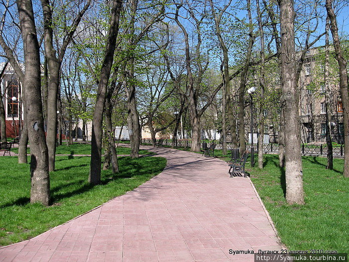 Сквер тихий и уютный. Дорожки плавно расходятся в стороны. Луганск, Украина