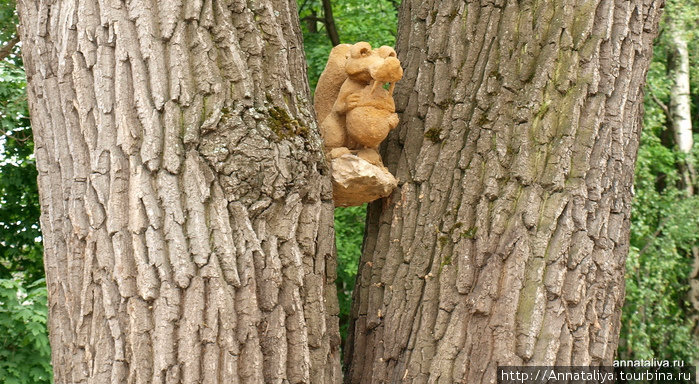 Самый известный персонаж залез на дерево. Москва, Россия