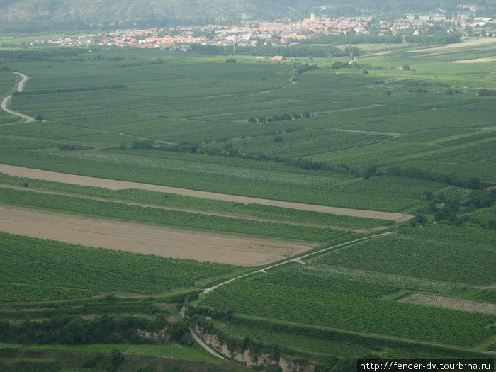 А это знаменитые виноградники Вахау Кремс-ан-дер-Донау, Австрия