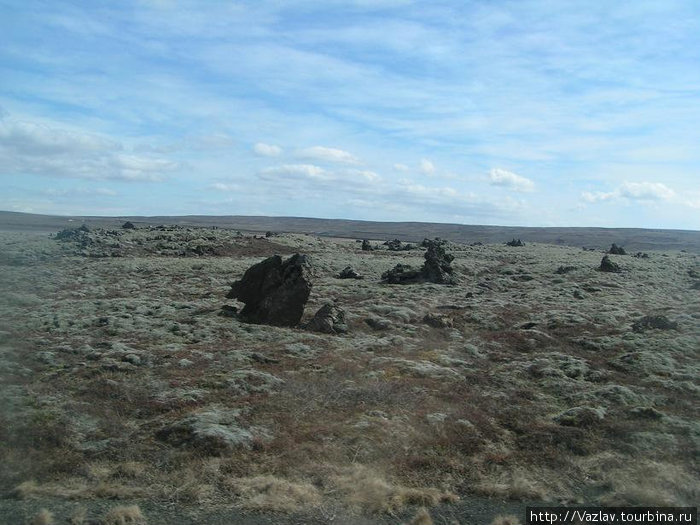 Каменный лес Тингвеллир Национальный парк, Исландия