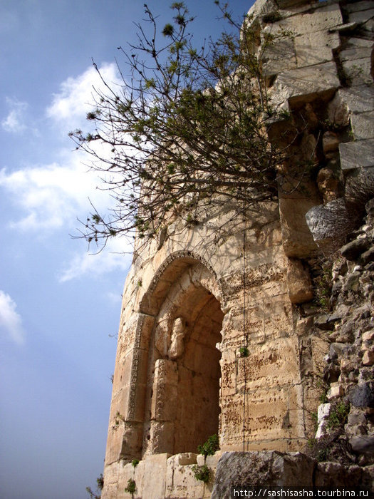 Замок Крак де Шевалье Хаваш, Сирия
