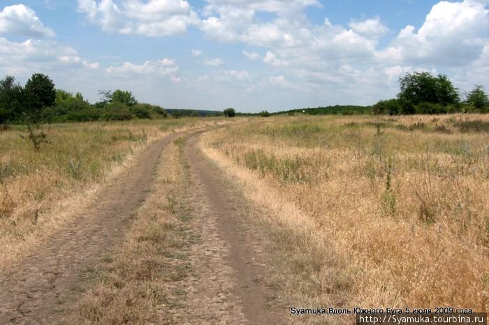 Пшеничное поле оставалось сзади, а слева по ходу был сад, видно — когда-то здесь стоял дом, или дома... Первомайск, Украина