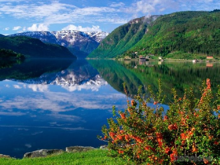 Хардангерфьорд / Hardangerfjord