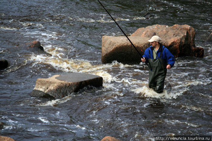 На реке частенько можно увидеть рыбаков и чаек. Сестрорецк, Россия