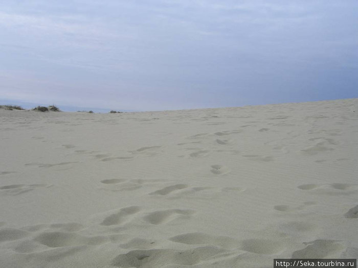 Там, где дюны Неринга, Литва