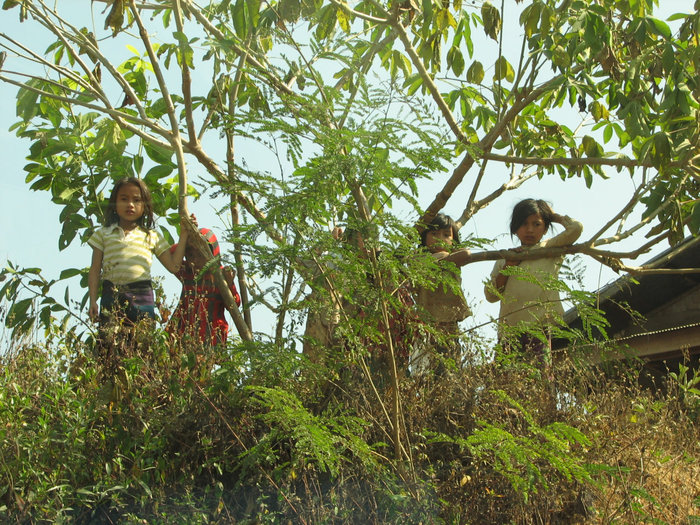 из окна автобуса.
дети выбегают смотреть на белых ) Луанг-Прабанг, Лаос