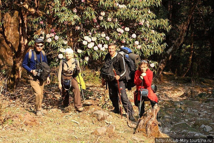 Ганеш Химал 2010 Непал Ганеш Химал 2010 Непал