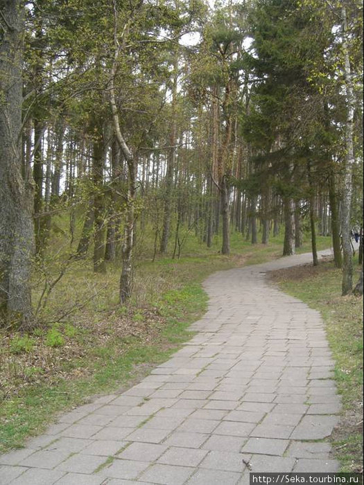 Окрестности Ниды Неринга, Литва