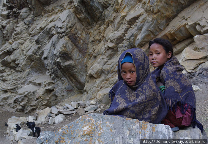 Две девочки присматривают за стадом козлов. Непал