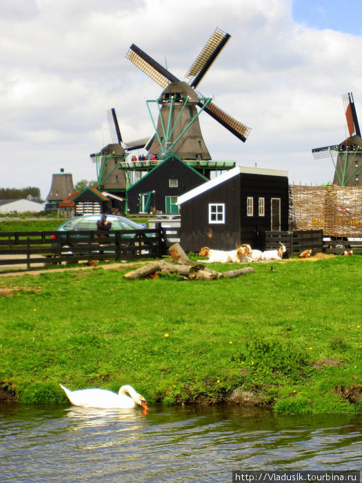 Мельница по производству красок Зансе-Сханс, Нидерланды