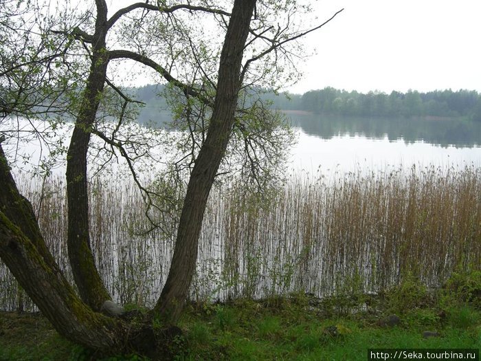 Тракайские озера Тракай, Литва