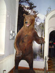 В отделе естественной истории Ярославского государственного музея-заповедника гостей встречает с распростёртыми объятиями восставший в полный рост медведь — символ Ярославля