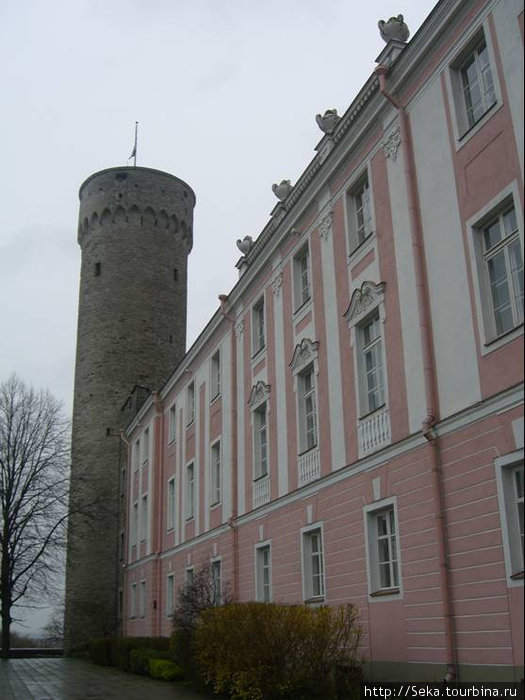 Городская стена и башни Таллин, Эстония