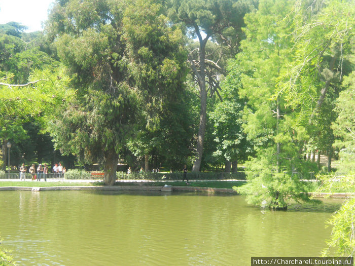 Стеклянный дворец (Парк Эль Буэн Ретиро) Мадрид, Испания