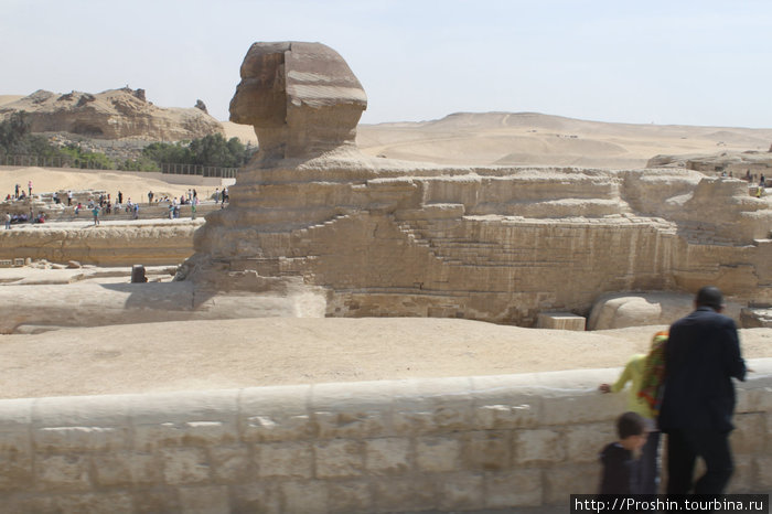 Гиза - территория чудес Каир, Египет