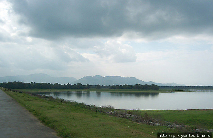 В парке очень красиво Провинция Ува, Шри-Ланка